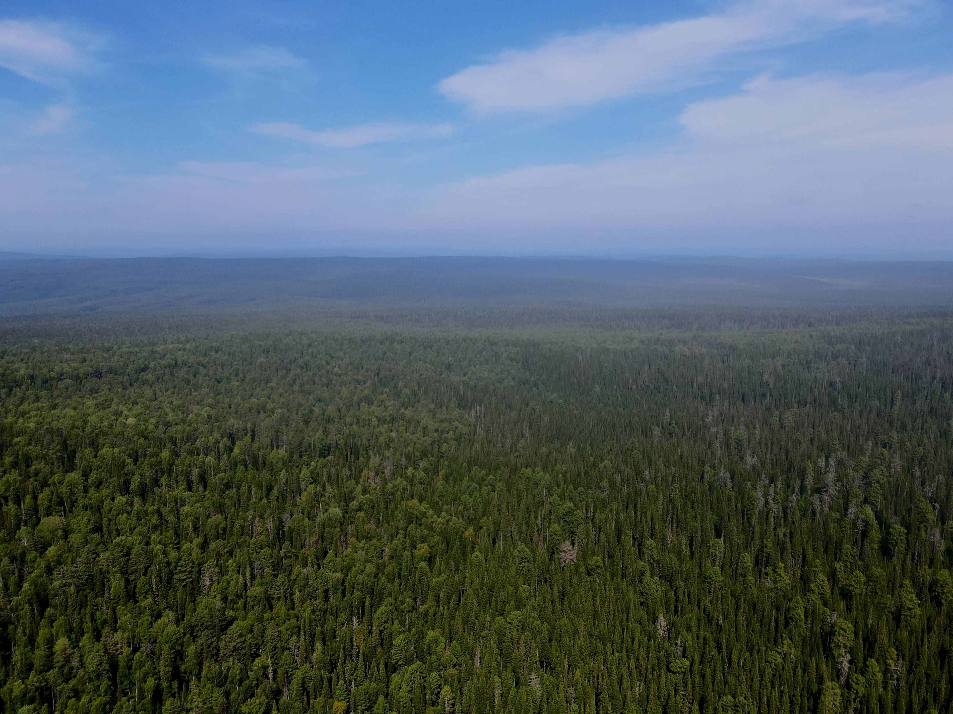 Катарминский 