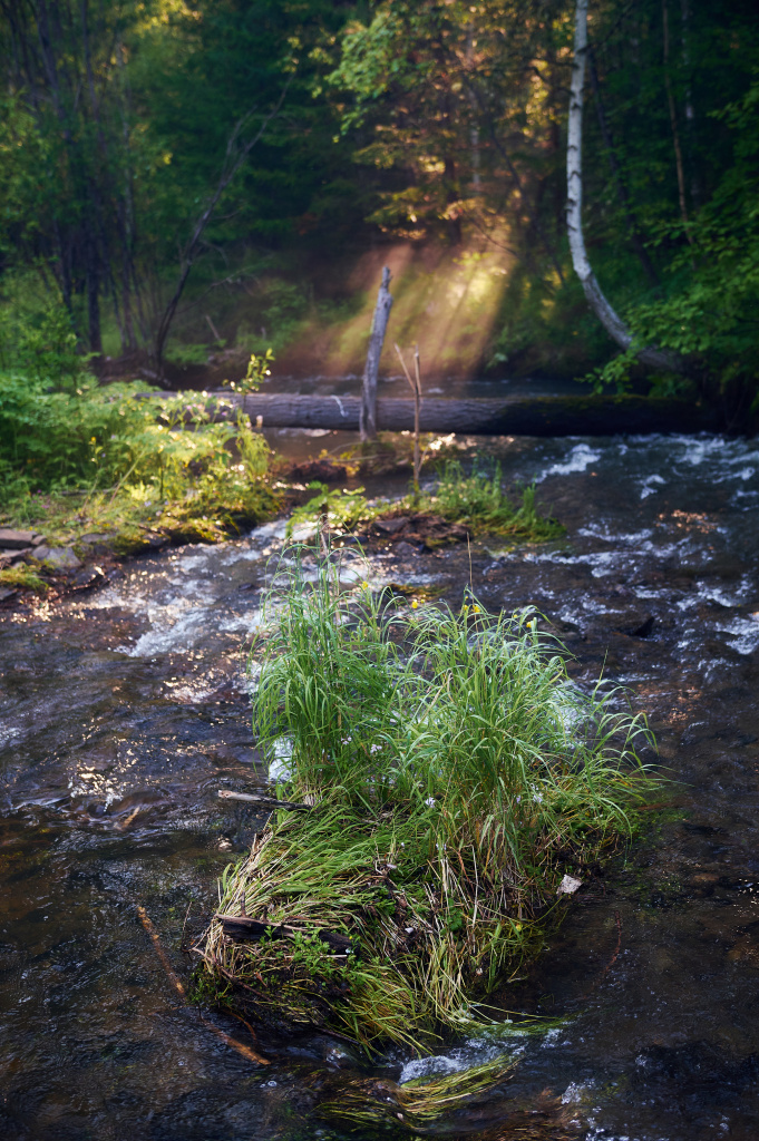 Кочергат_лето_21.jpg Кочергат_лето_21.jpg