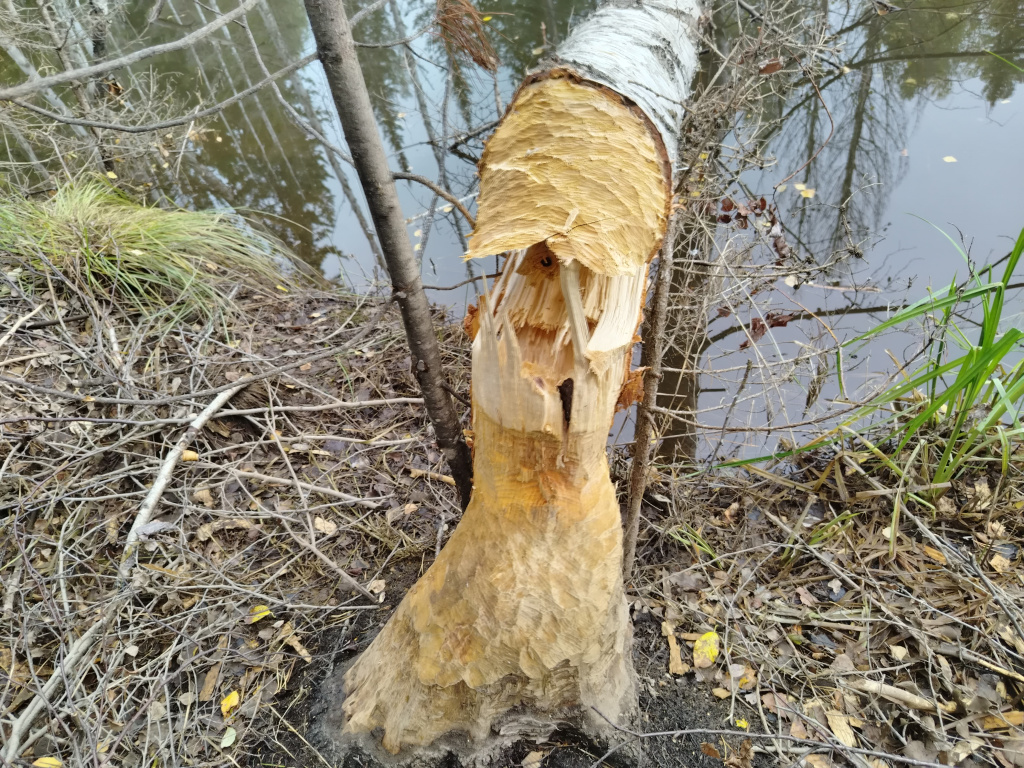 IMG_20250902_103523.jpg IMG_20250902_103523.jpg