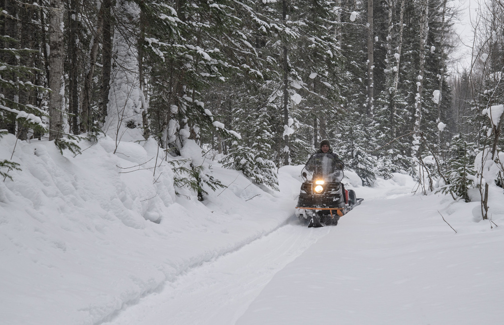 DSC_9715_sm.jpg DSC_9715_sm.jpg