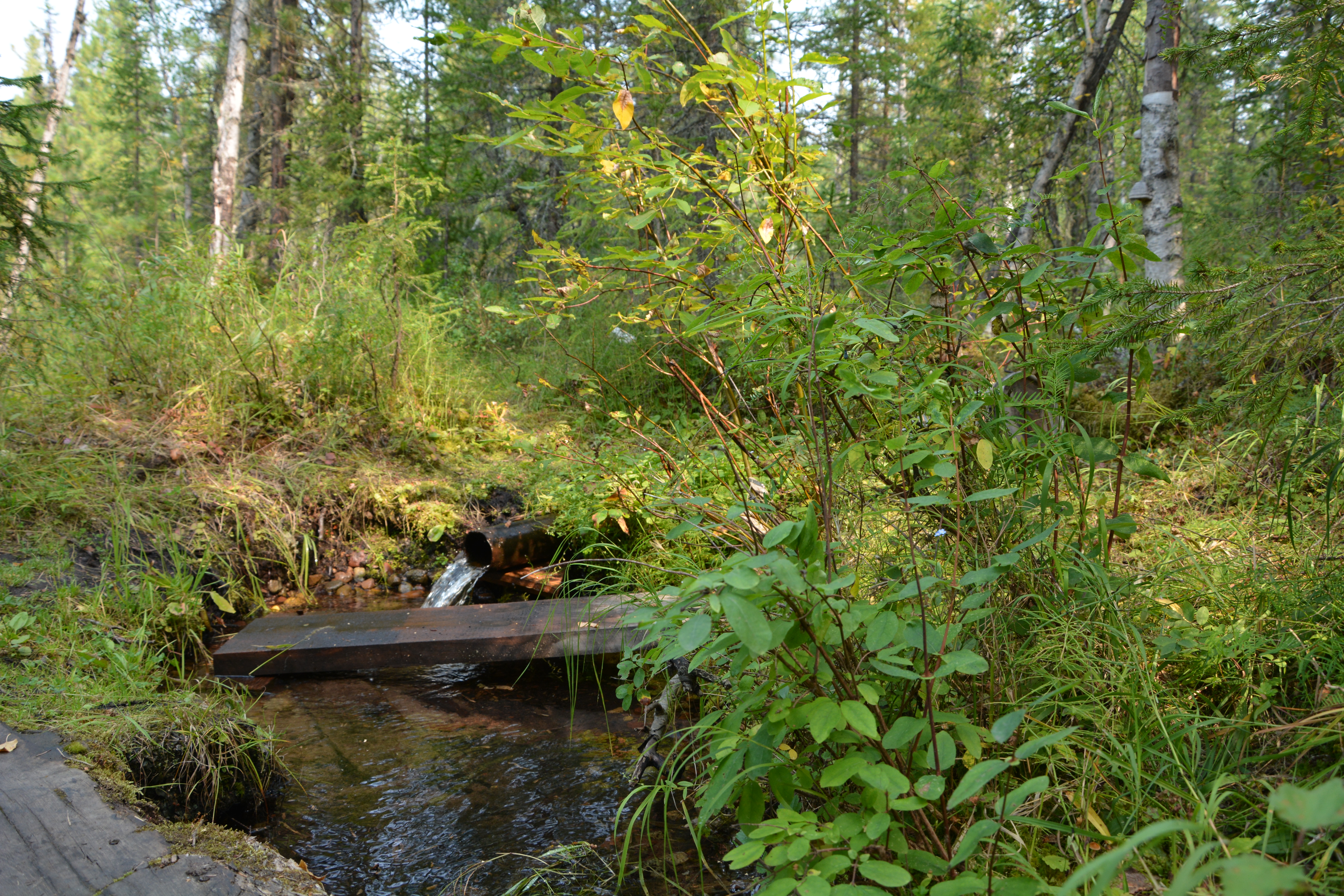 Умбельский источник