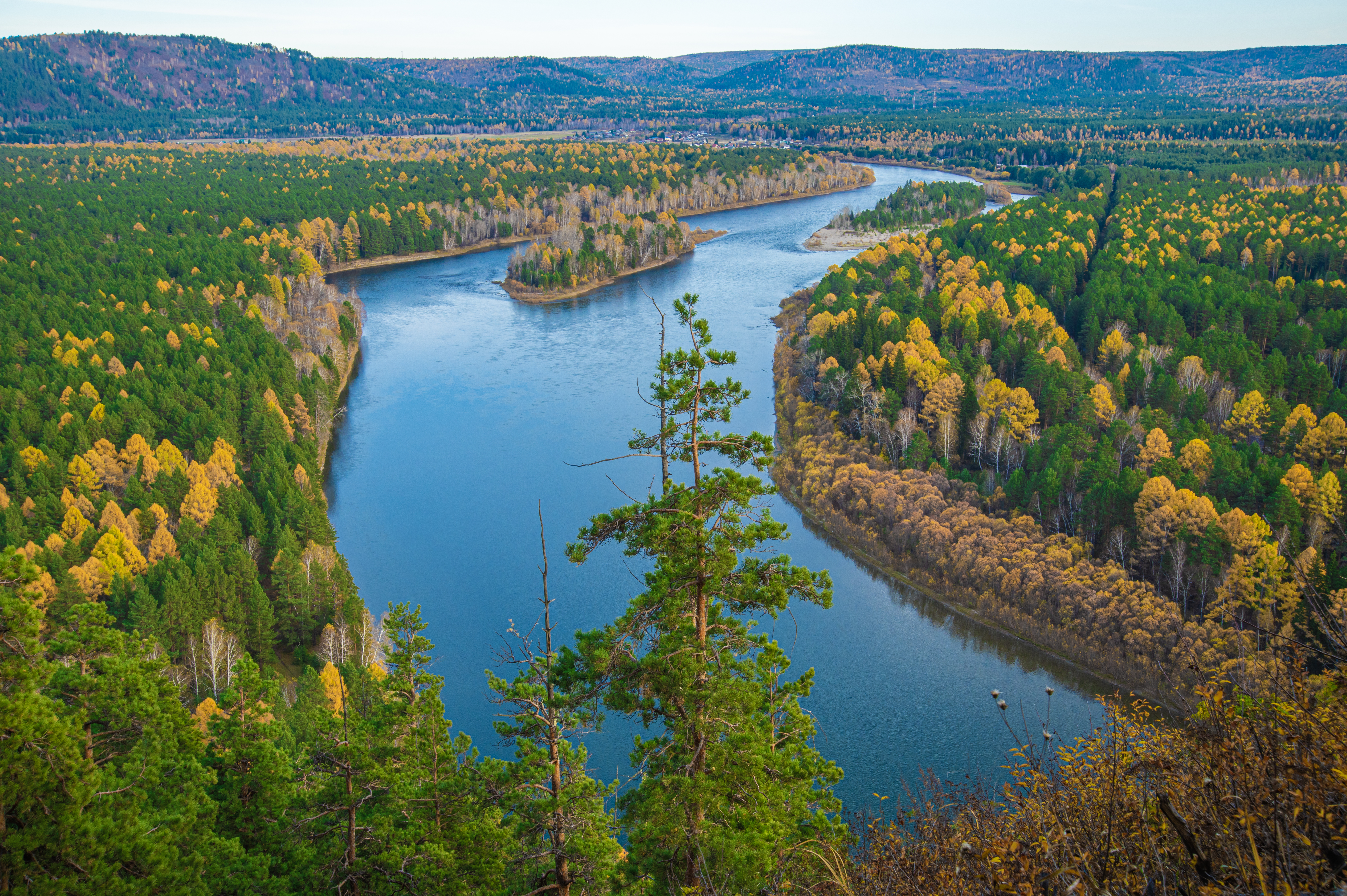 Nature photo 1