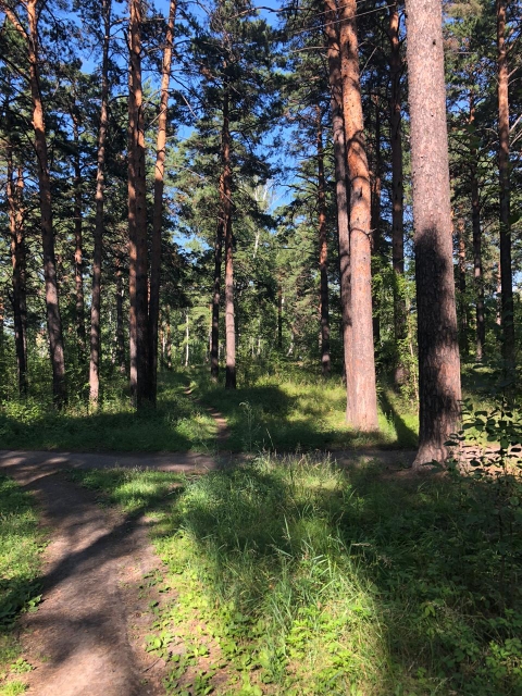Кайский бор