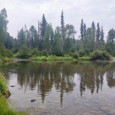 Чайский