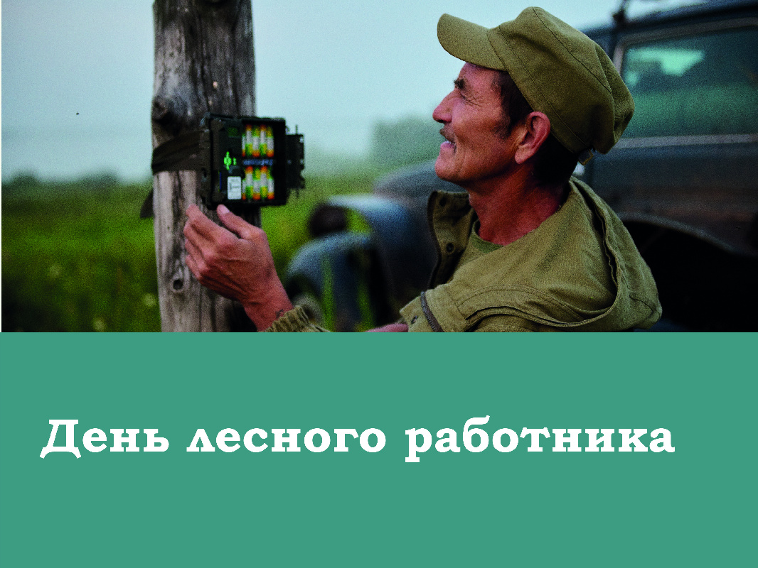 День лесного работника! Поздравляем коллег и всех причастных 