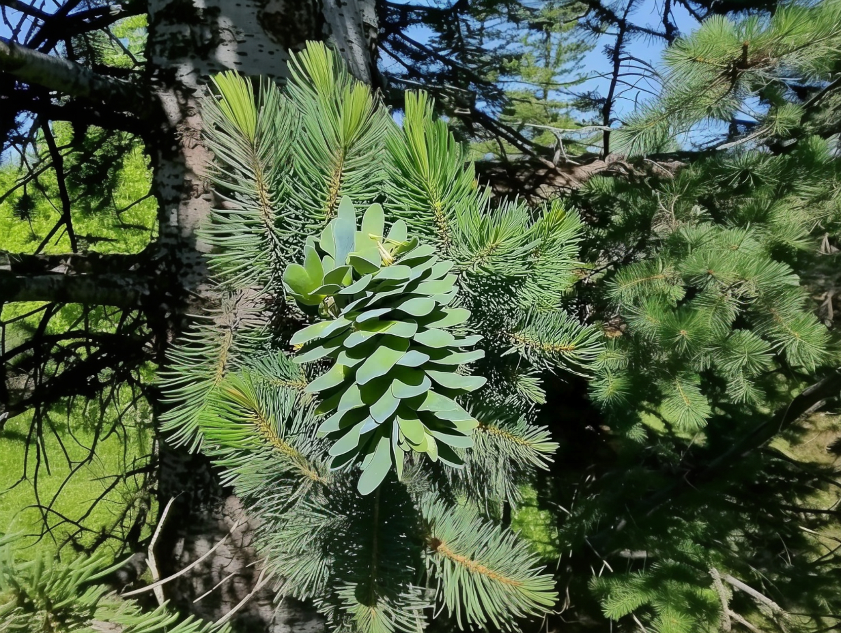 Фото 9