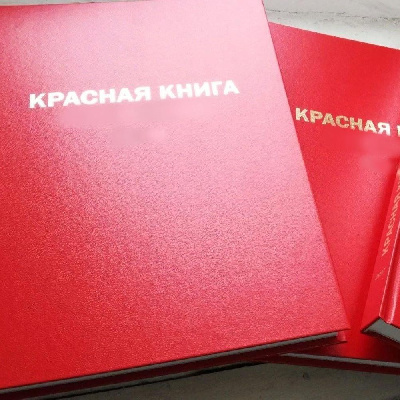 Красная Книга Иркутской области 