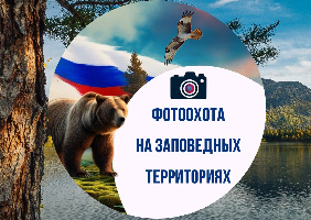 «Фотоохота на заповедных территориях»: как природа Коми вдохновляет всю Россию