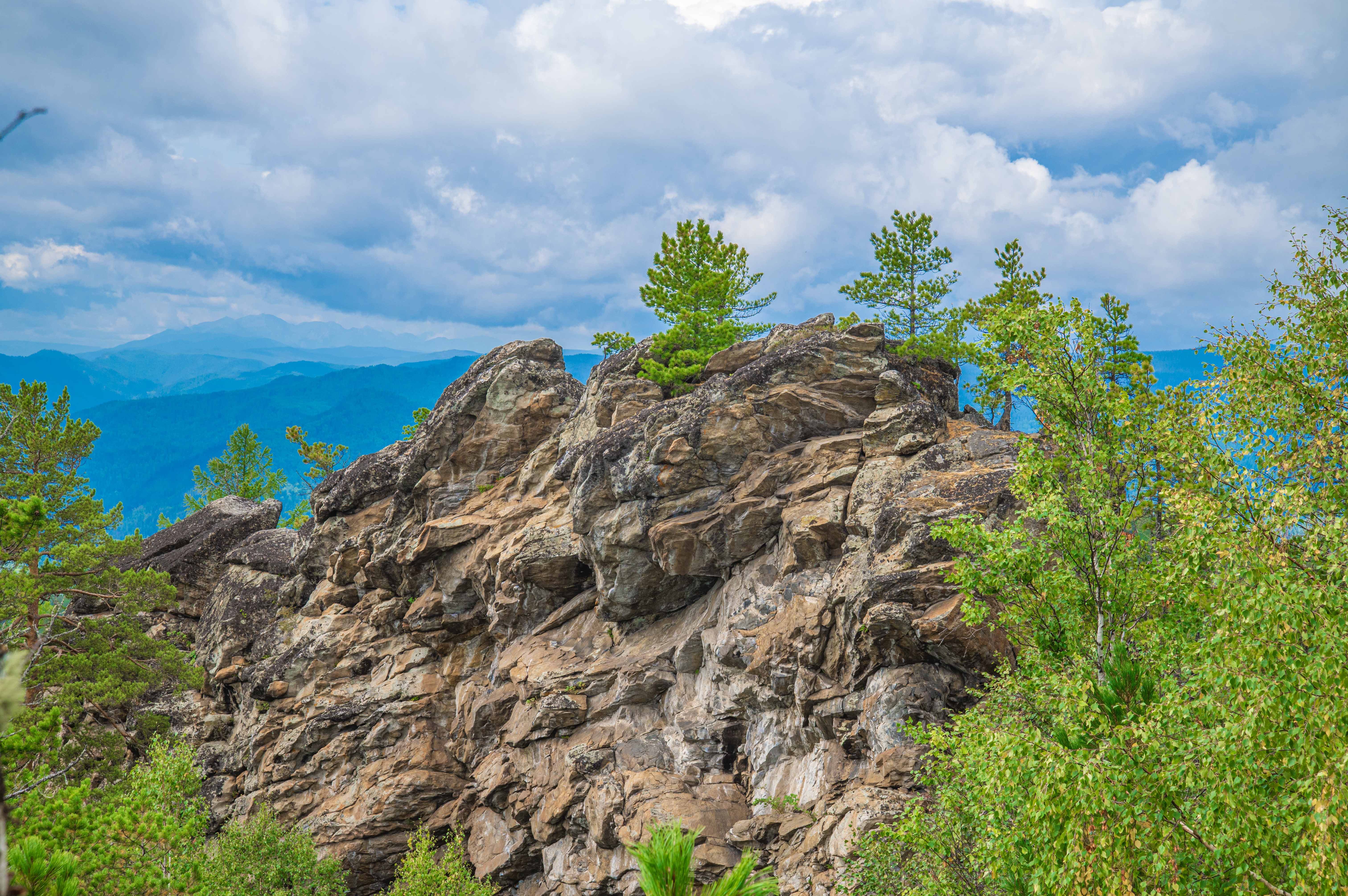 Nature photo 3