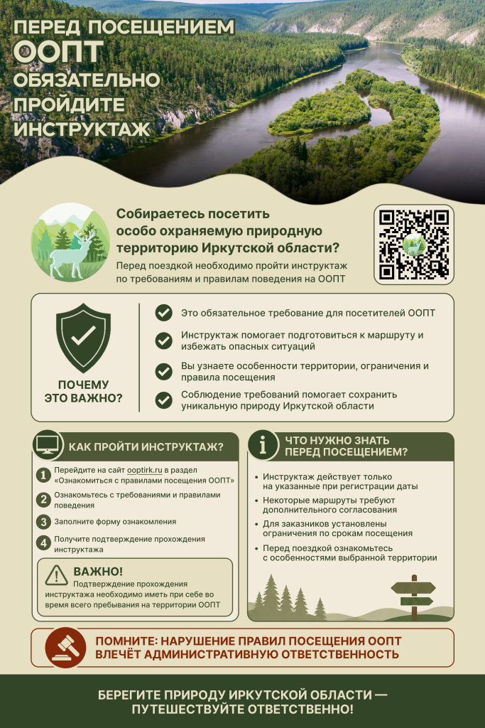 Листовка (1).png