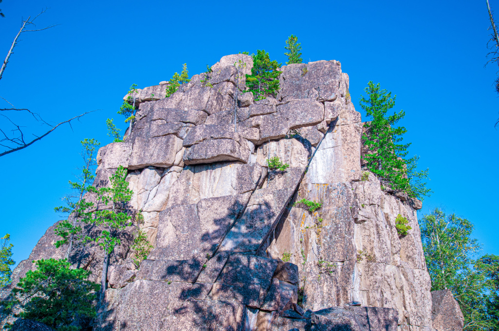 DSC_2601 copy.jpg