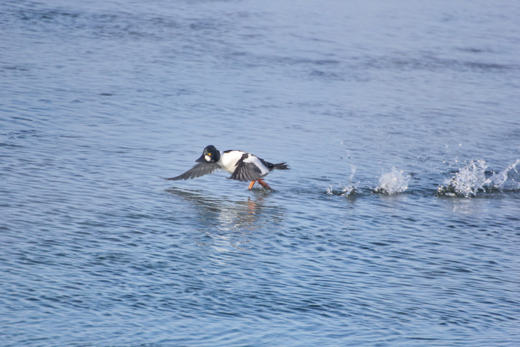 Исток Ангары_10.jpg